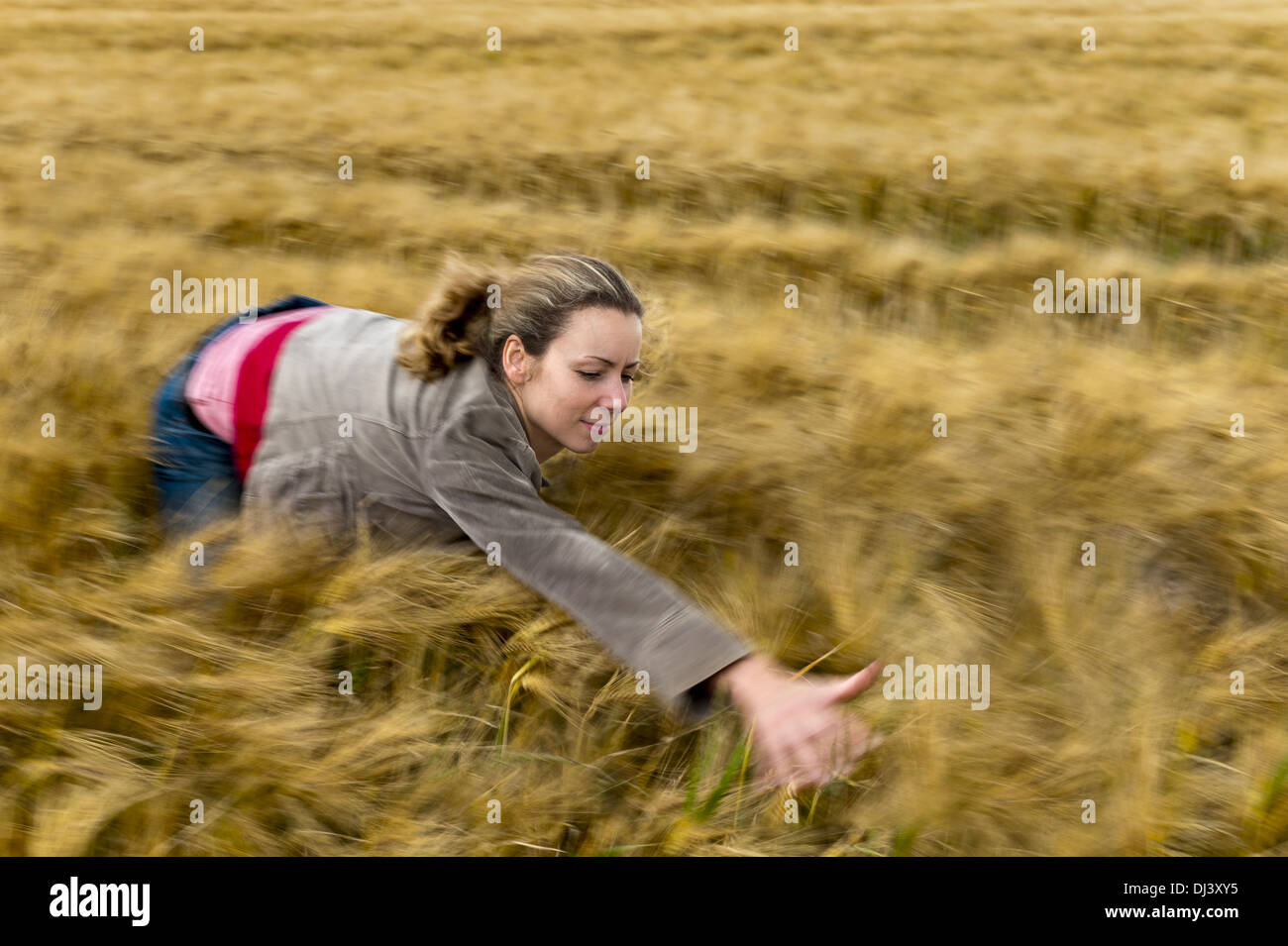 junge Frau macht Wind im Weizenfeld Stockfoto