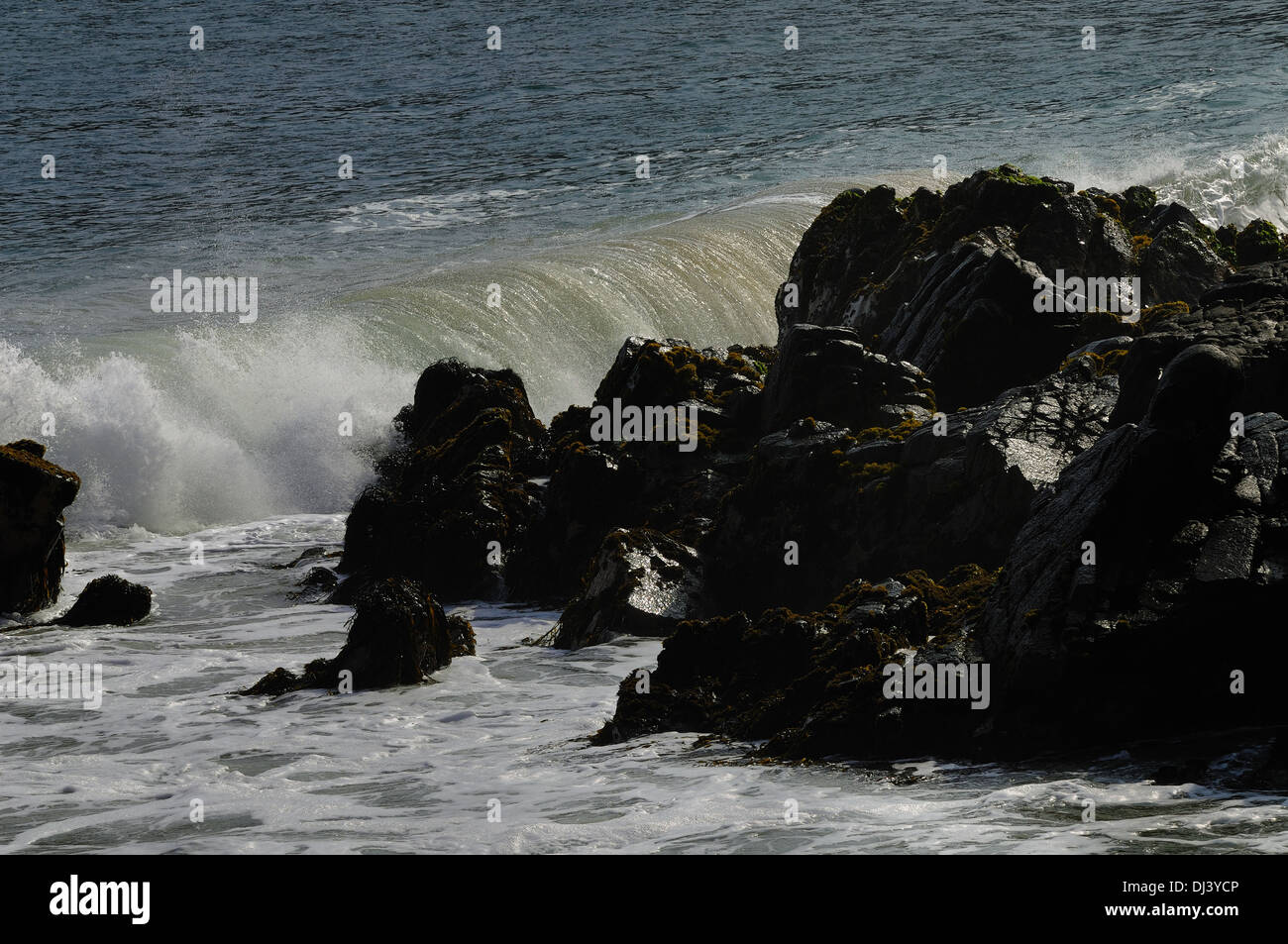 Pazifische Küste von Peru Stockfoto