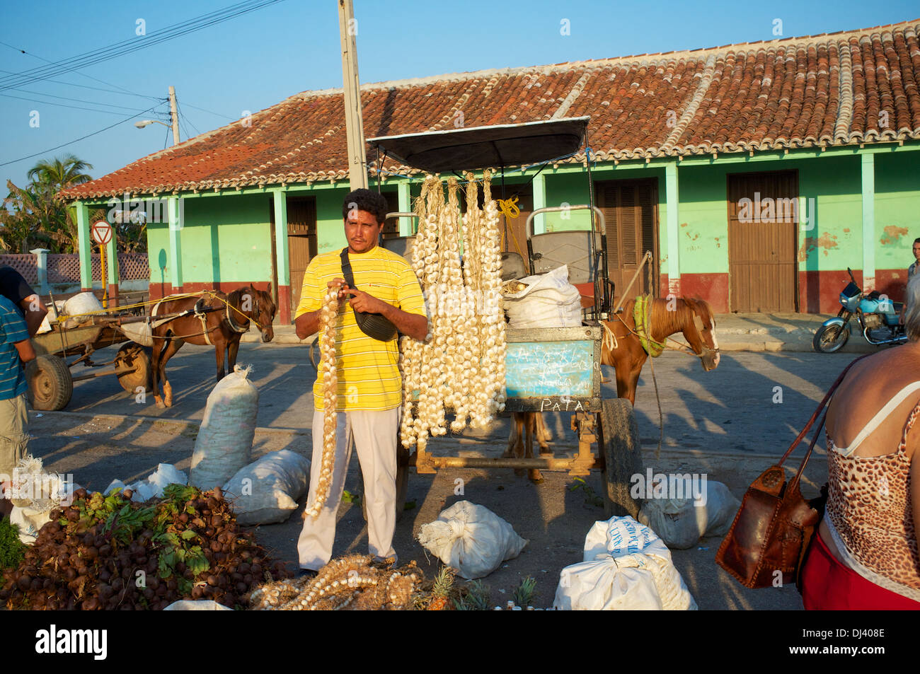 Bauernmarkt, Gibara, Kuba Stockfoto