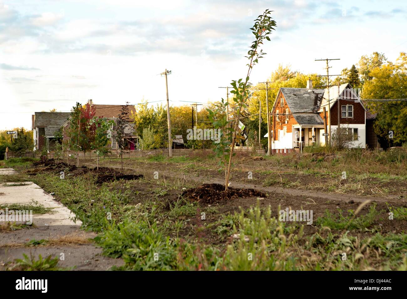 Die Farnsworth Gemeinschaftsgarten: eine langjährige urbane Landwirtschaft Anstrengung in Detroit. Bild wurde im Oktober 2013 aufgenommen. Stockfoto