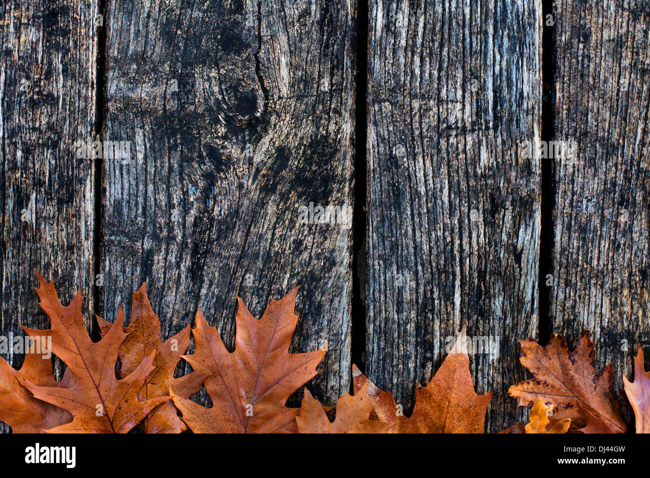 Herbst Hintergrund Stockfoto
