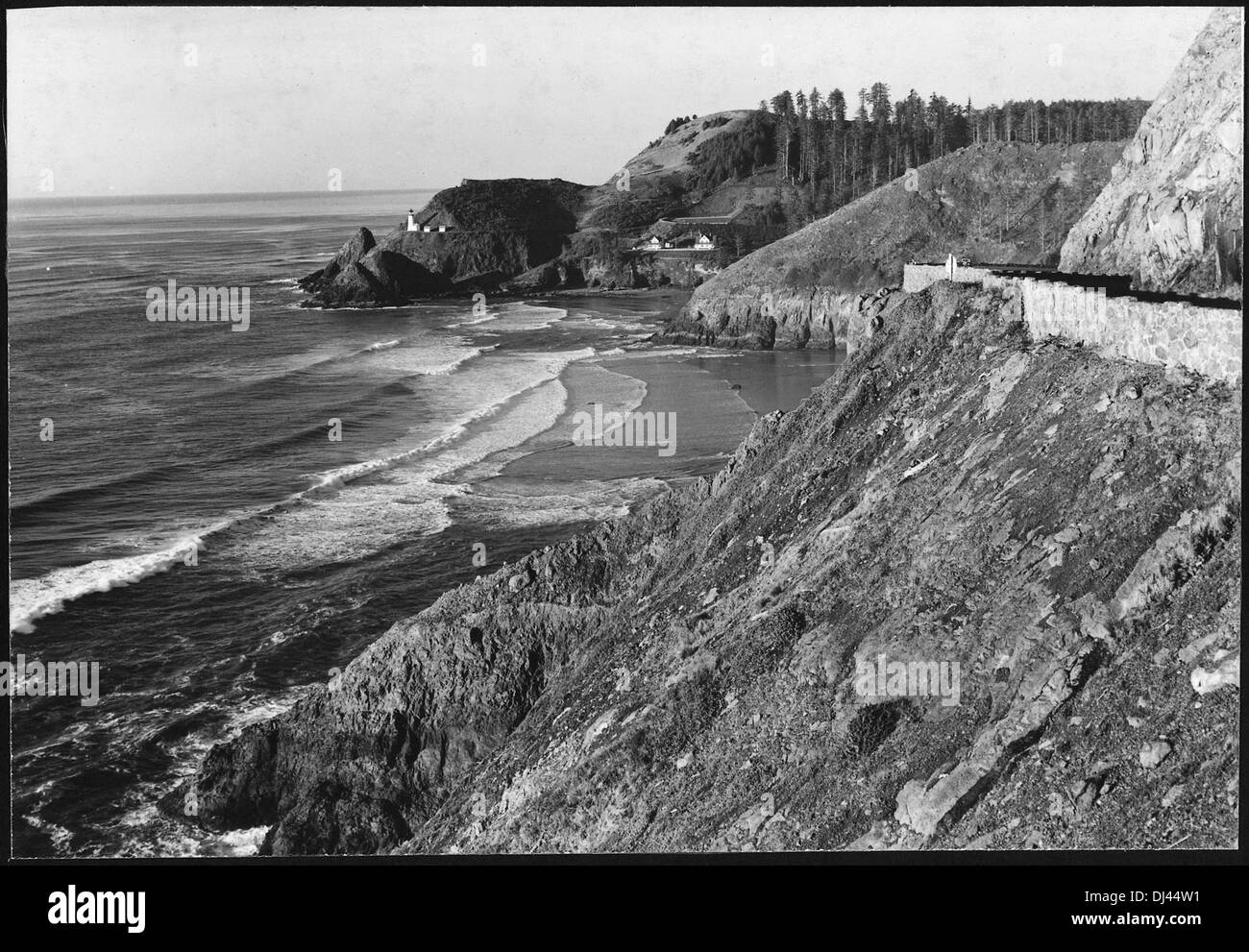 Dieses Foto zeigt eine Nordansicht aus der Nähe der Sea Lion Caves und erfasst die zerklüftete Küste und Meeresumwelt entlang des Pazifischen Ozeans. Stockfoto