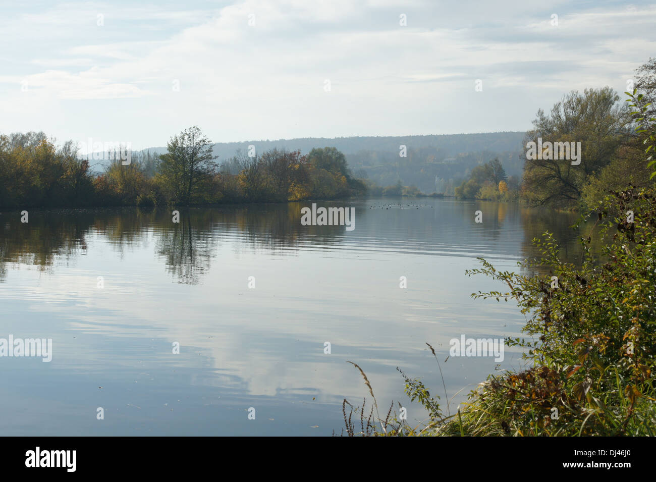 Donau, danubia Stockfoto