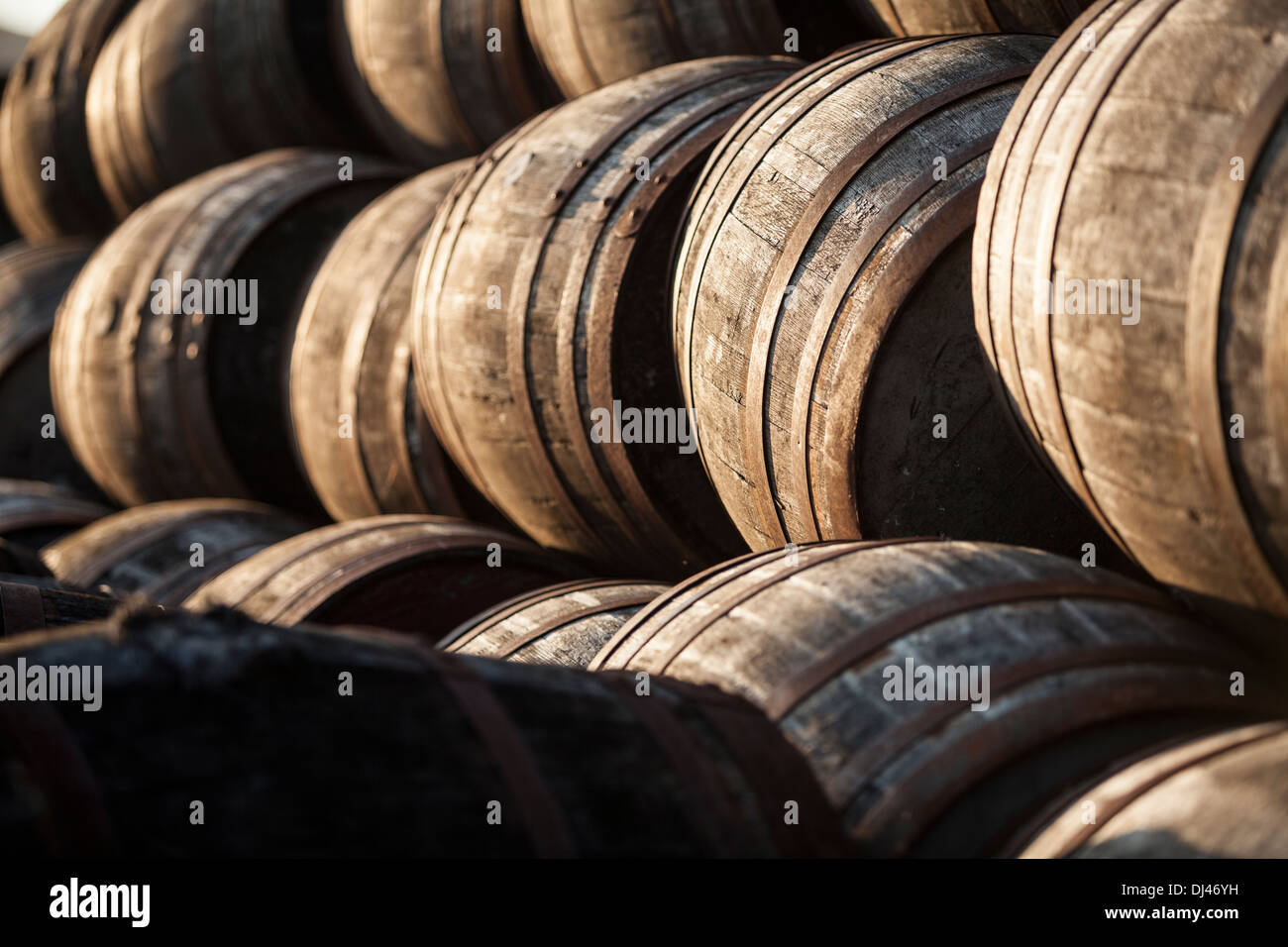 Whisky Fässer gestapelt in einem warmen Abend licht Stockfoto