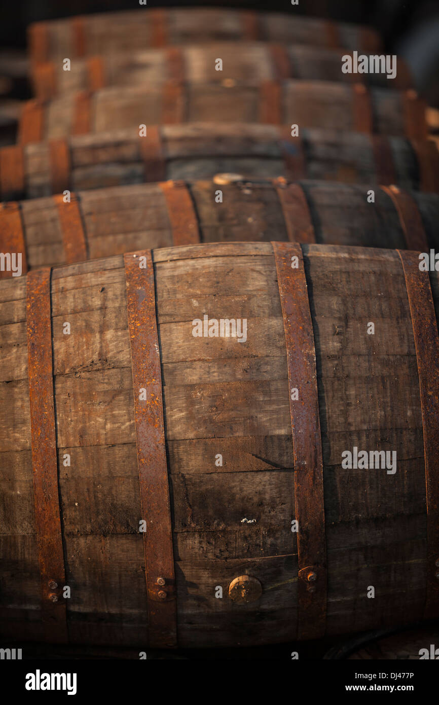 Whisky Fässer gestapelt in einem warmen Abend licht Stockfoto
