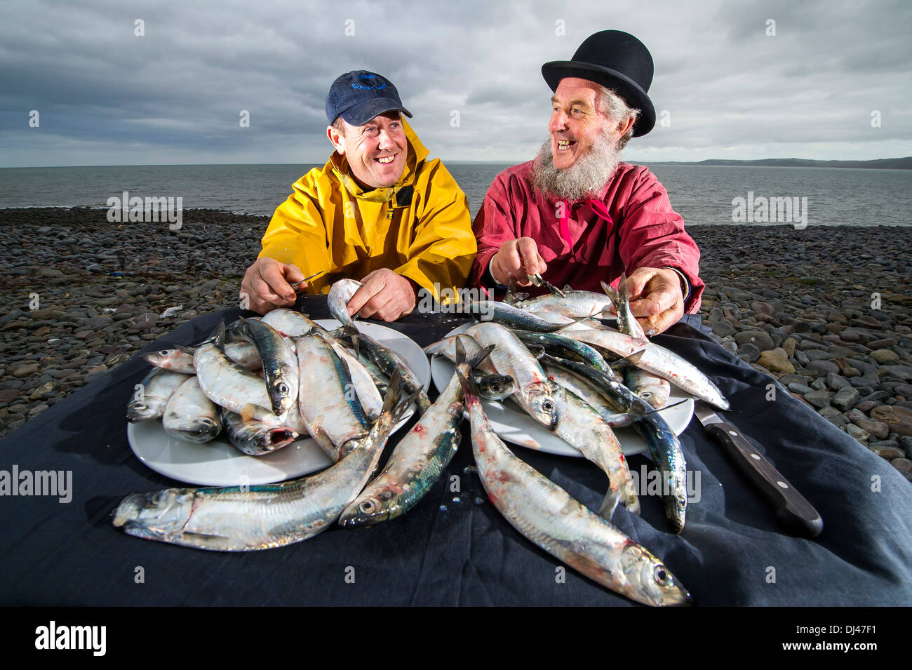 Fischer Stephen Perham (links) und Chris Braund bereiten Hering für das jährliche Festival Clovelly Hering, Devon, UK Stockfoto