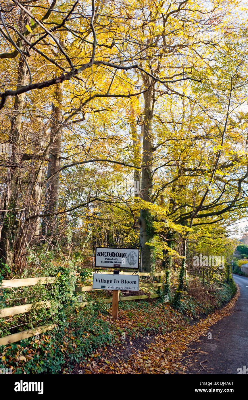 Wedmore Ortsschild von Lascot Hügel von Wedmore Woods Stockfoto