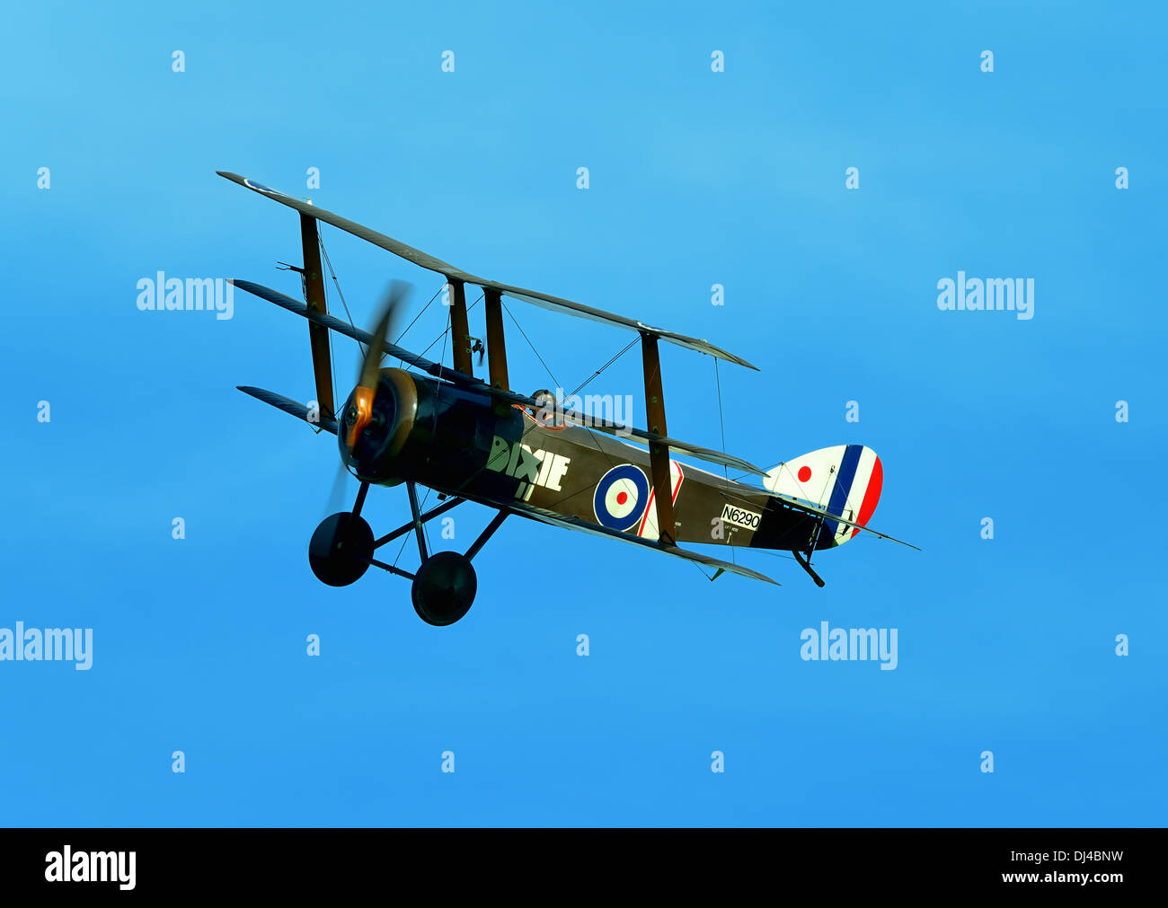 Sopwith Dreidecker, Jahrgang RAF WW1 Jagdflugzeug aus der Shuttleworth Collection. Oktober fliegende Tag 2013.Biggleswade UK Stockfoto