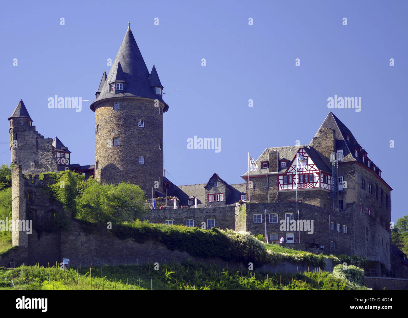 Burg in der Nähe von bingen Stockfoto