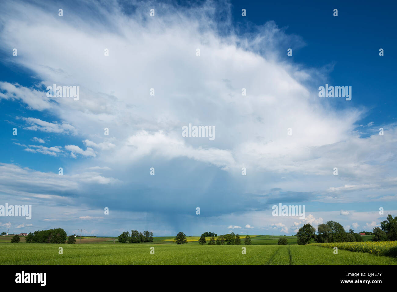 Frühling-Bauernhof-Feldern in der Nähe von Dorf Scmicz - Schmitsch, Woiwodschaft Oppeln, Polen Stockfoto