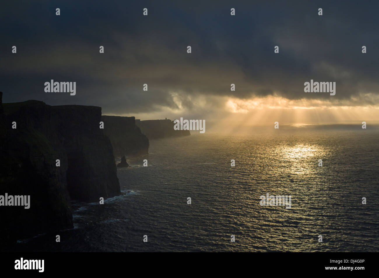 Cliffs of Moher, Co. Clare, Westküste Irlands Stockfoto
