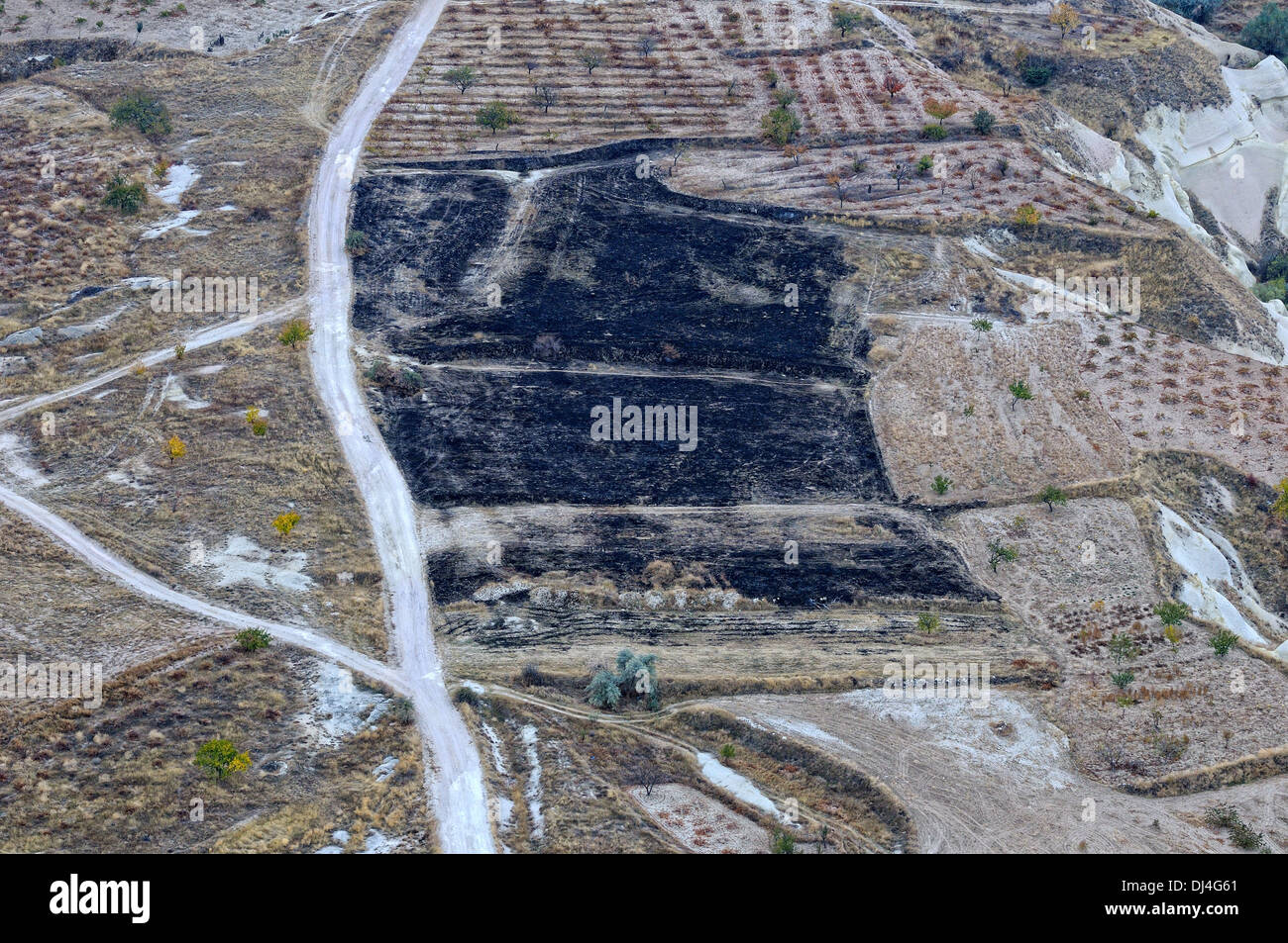 einfach brennen Stockfoto, Bild 62795433 Alamy