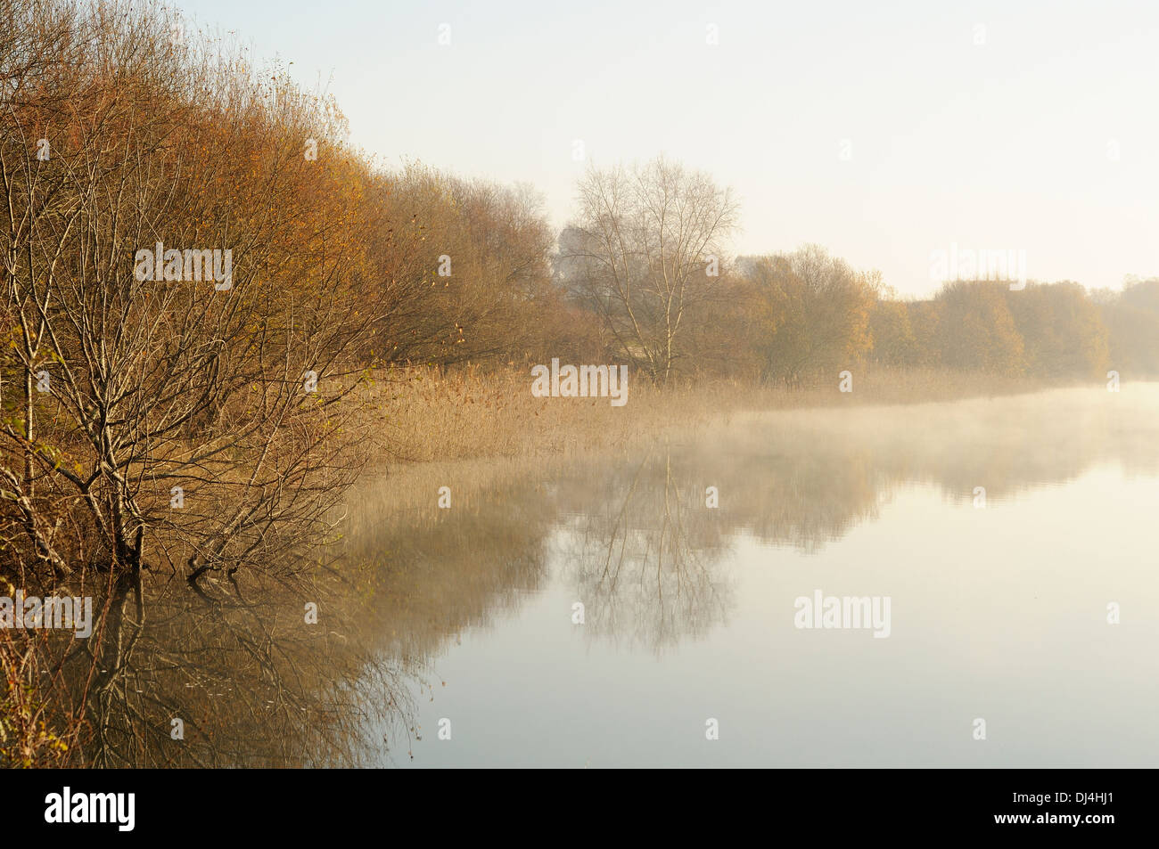 Einen trüben Tag im Winter am Rande eines Sees mit ruhigem Wasser in Arjuzanx nationalen Jagd- und Wildlife Reserve. Frankreich. Stockfoto