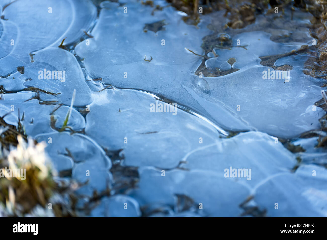 gefrorene Pfütze Stockfoto