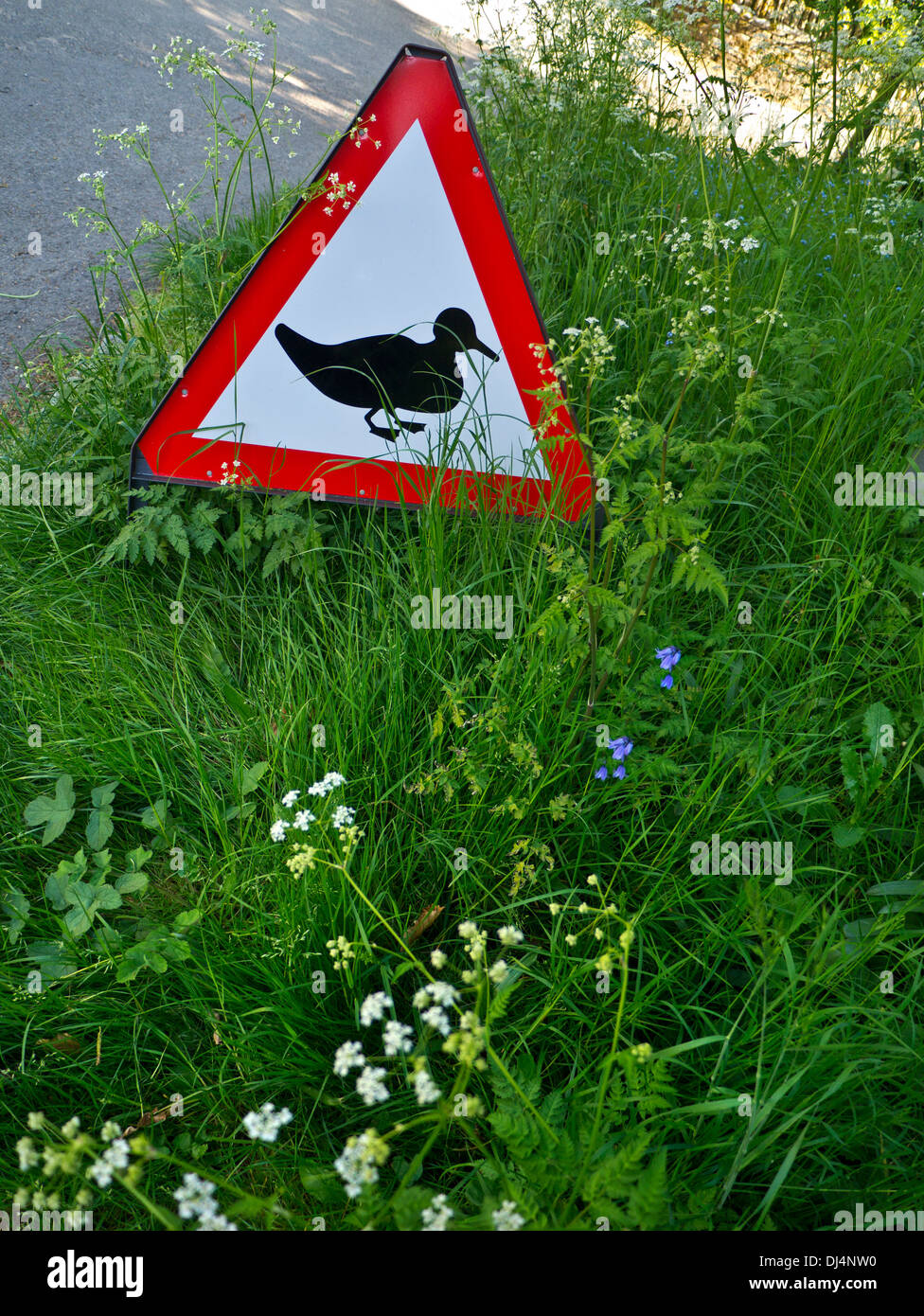 Warnende Verkehrsschild für Enten beim Überqueren der Straße Stockfoto