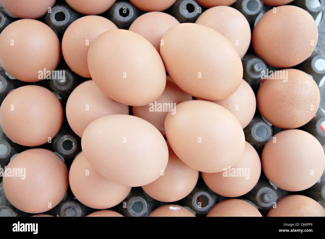 Die Bildstapel frisches Ei Container Box. Stockfoto