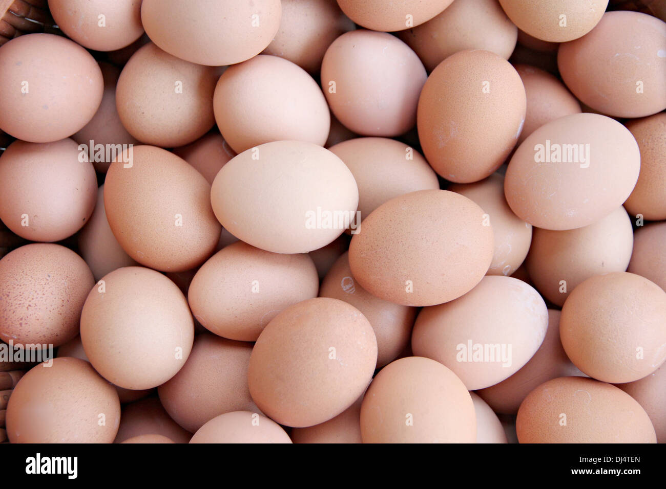 Die Bildstapel frisches Ei Container Box. Stockfoto