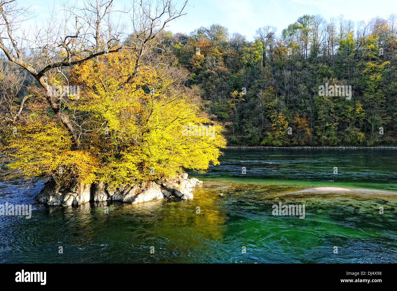 Rock im Rhein Stockfoto
