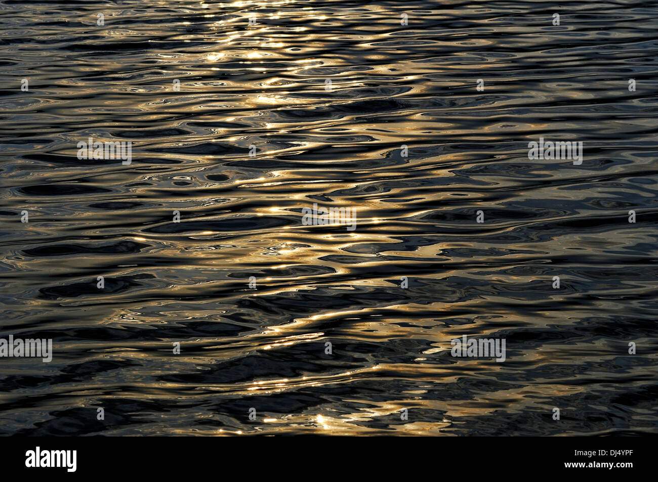 in der Sonne Stockfoto