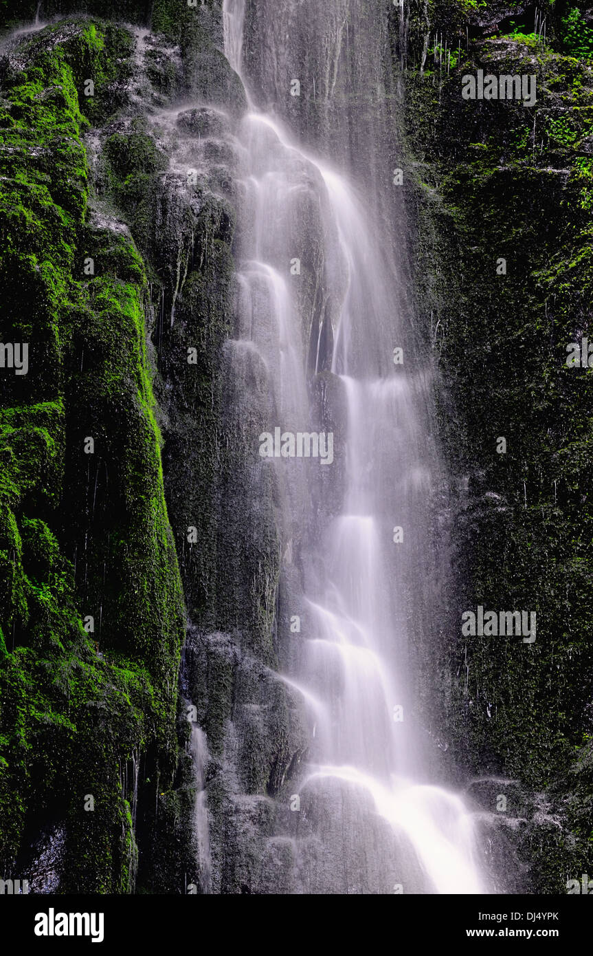 In der Felswand Stockfoto