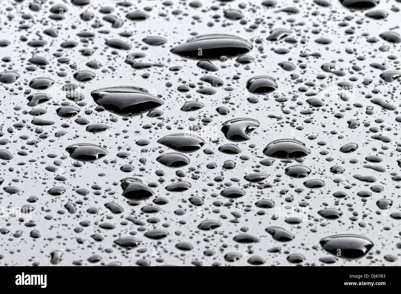 Schwarzwasser Stockfoto