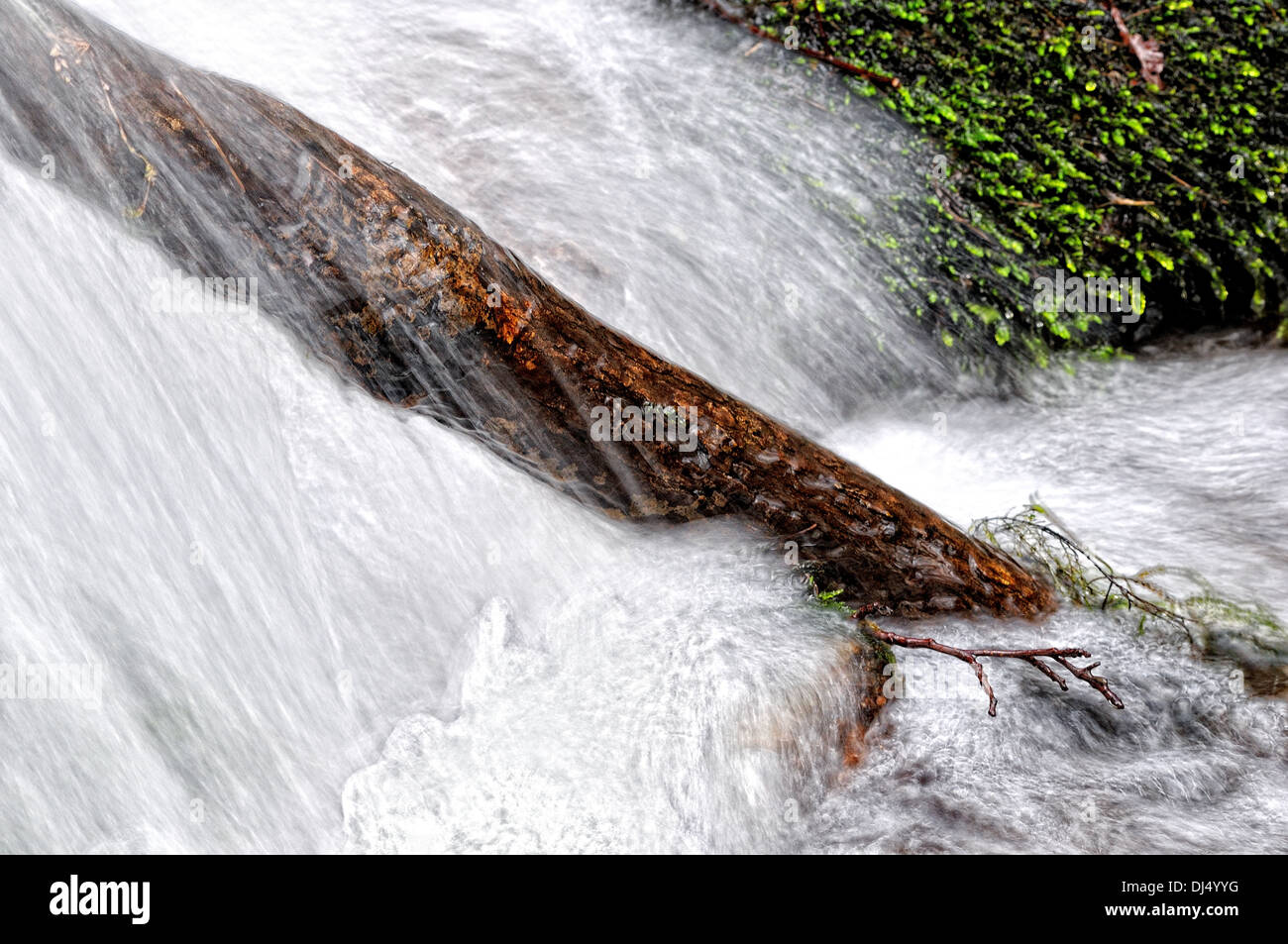 Holz in einem Wasserfall, Stockfoto