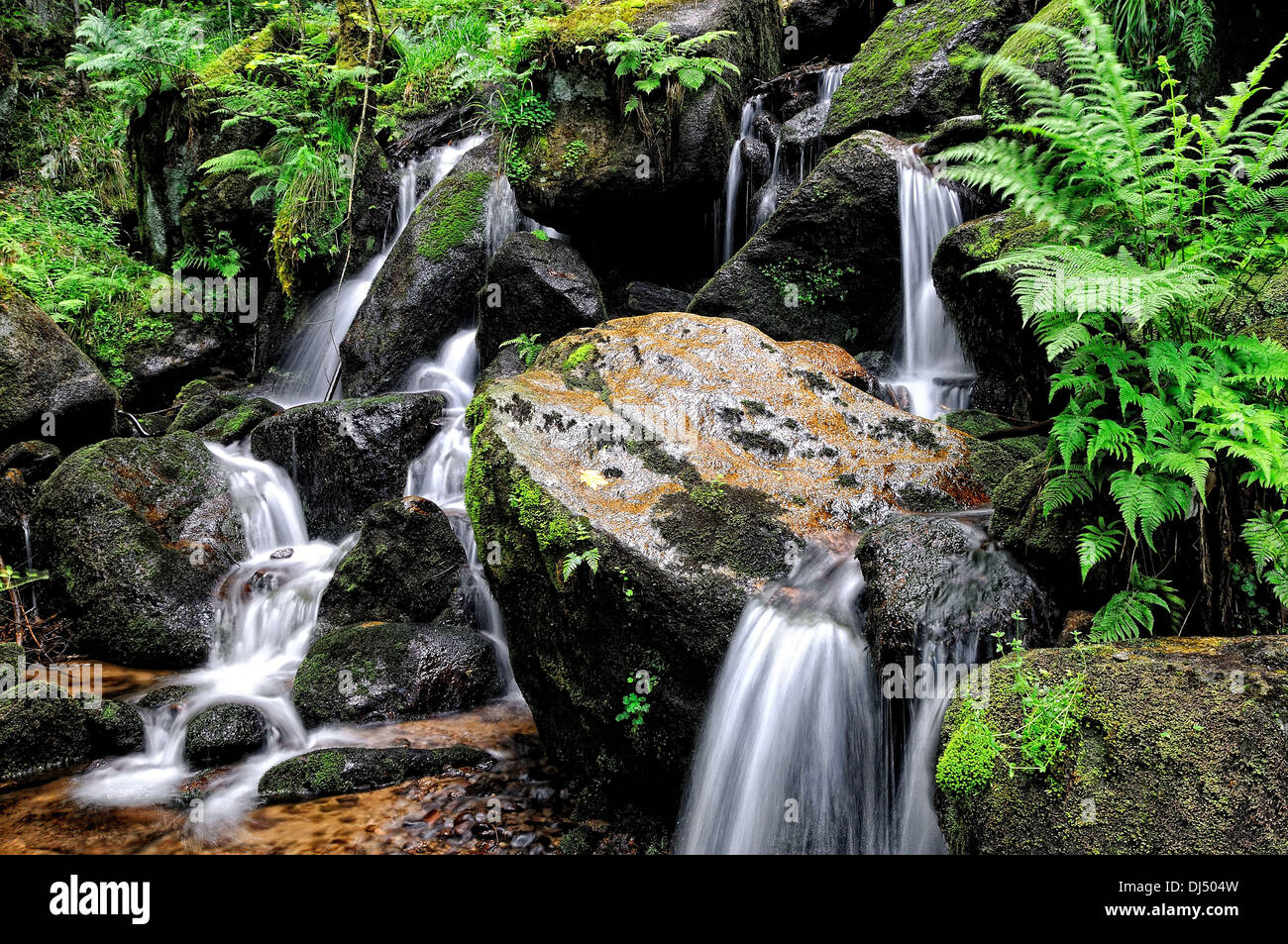 Wasser in und über den Steinen Stockfoto