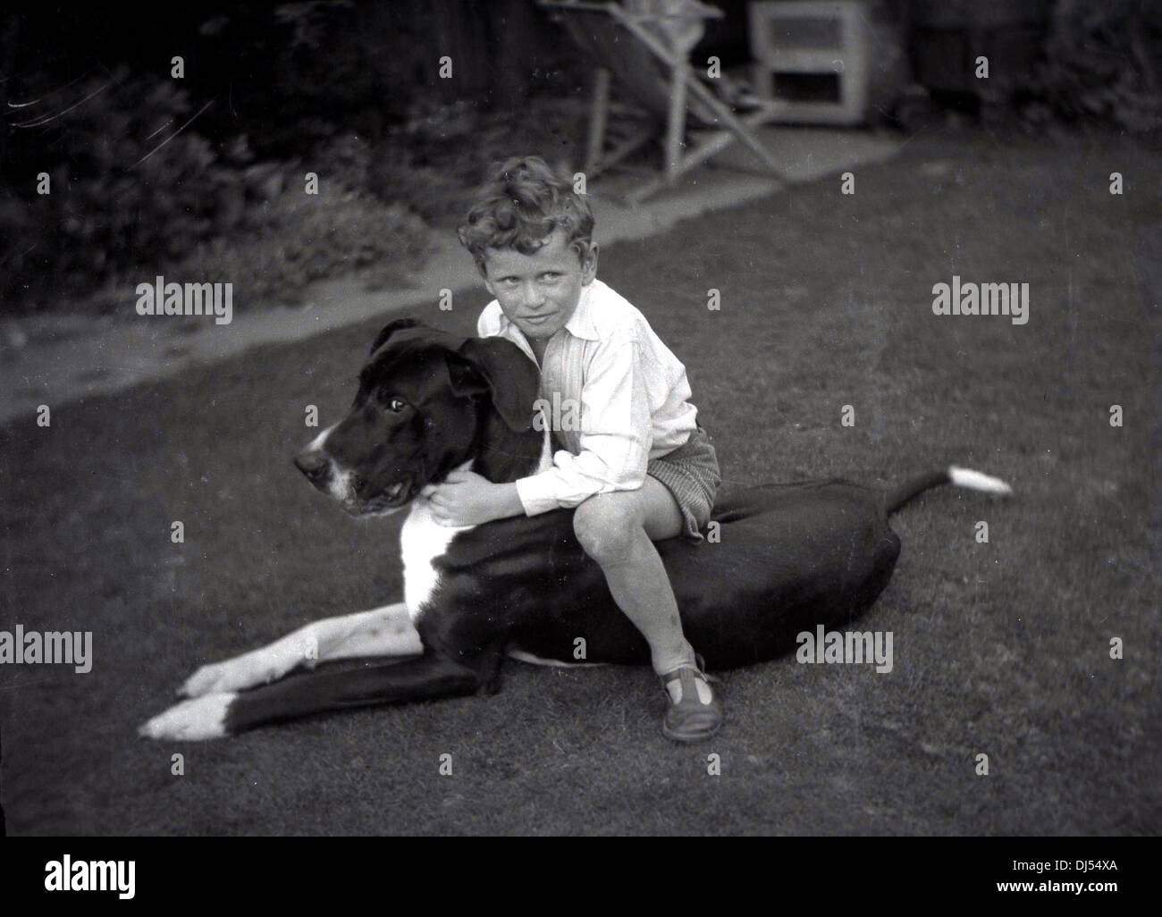 Historisches Bild von 1930s, ein kleiner Junge, der draußen in einem Garten auf seinem Hund sitzt und ihn umarmt. Stockfoto