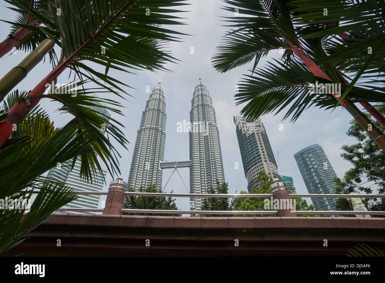 Petronas Towers in Kuala Lumpur steigen zum Himmel zwischen Palmen Tress aus Gärten unterhalb im Oktober 2013. Stockfoto