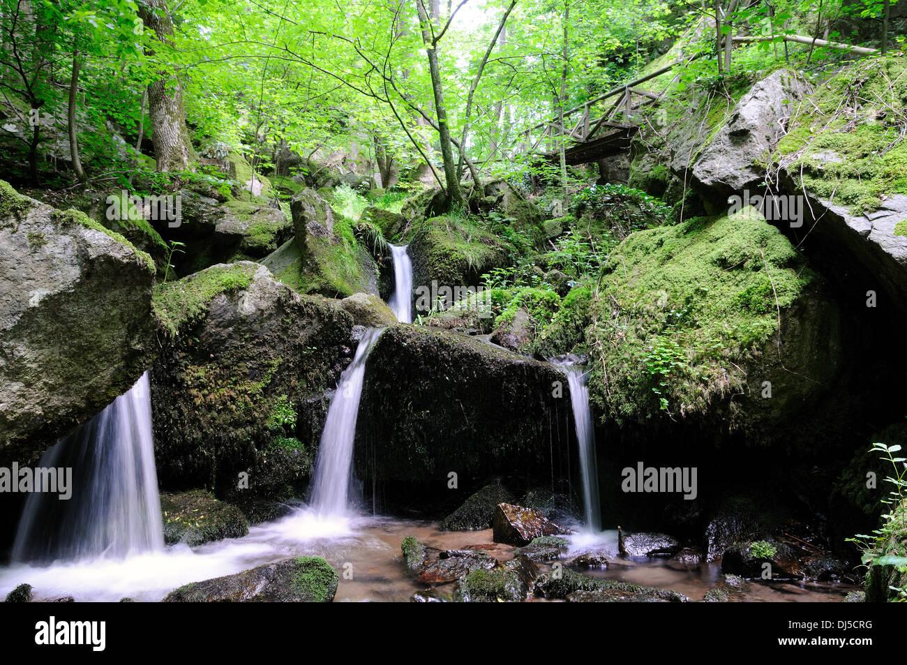 Gaishoell Wasserfälle Schwarzwald Deutschland Stockfoto