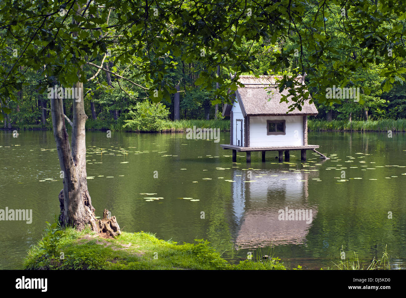 Ente-Haus am See in einem park Stockfoto