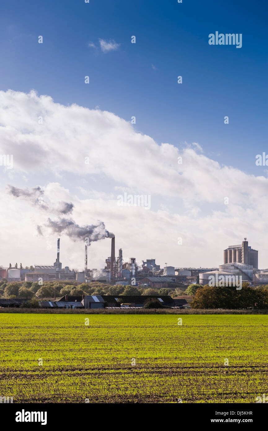 Die Verarbeitung von Zuckerrüben Fabrik in Bury St Edmunds in Suffolk, England, Großbritannien, Vereinigtes Königreich Stockfoto