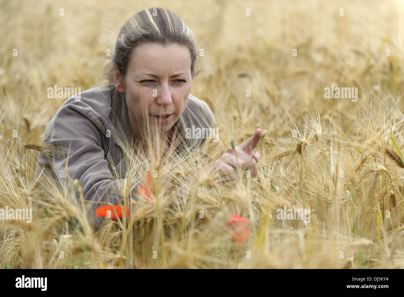junge Frau sitzt in einem Maisfeld Stockfoto