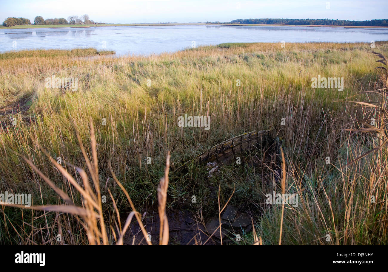 Walberswick National Nature reserve Feuchtgebiet Umwelt Sümpfe Blythburgh, Suffolk, England Stockfoto