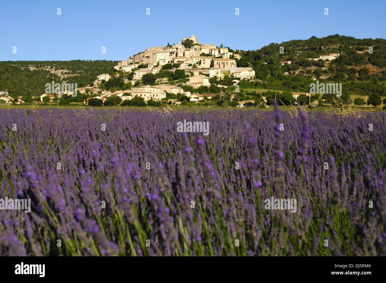 Banon, Provence, Frankreich Stockfoto