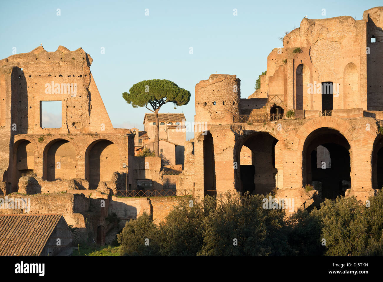 Rom. Italien. Ruinen des Palastes von Septimius Severus auf dem Palatin. Stockfoto