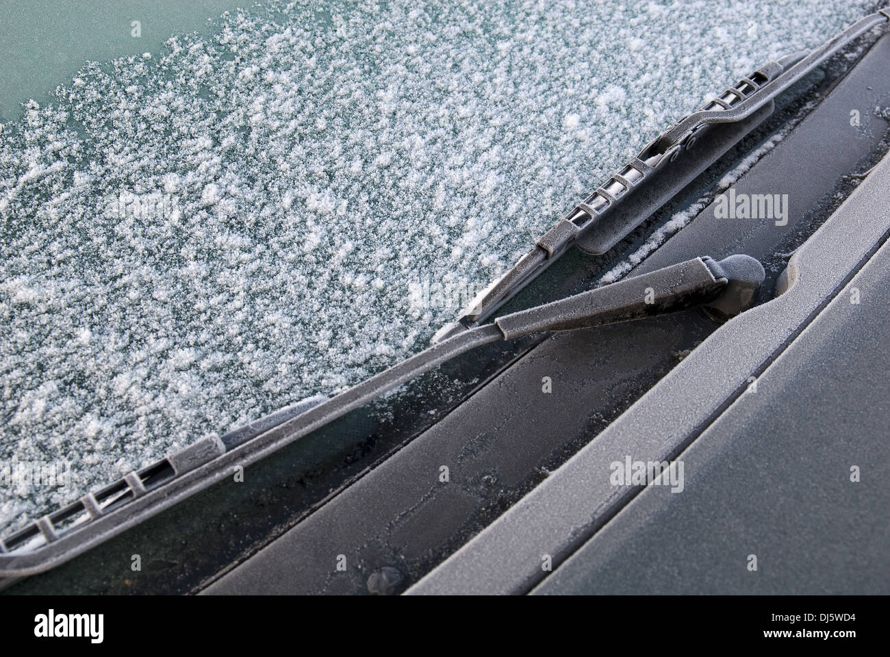 Auto im winter Stockfoto