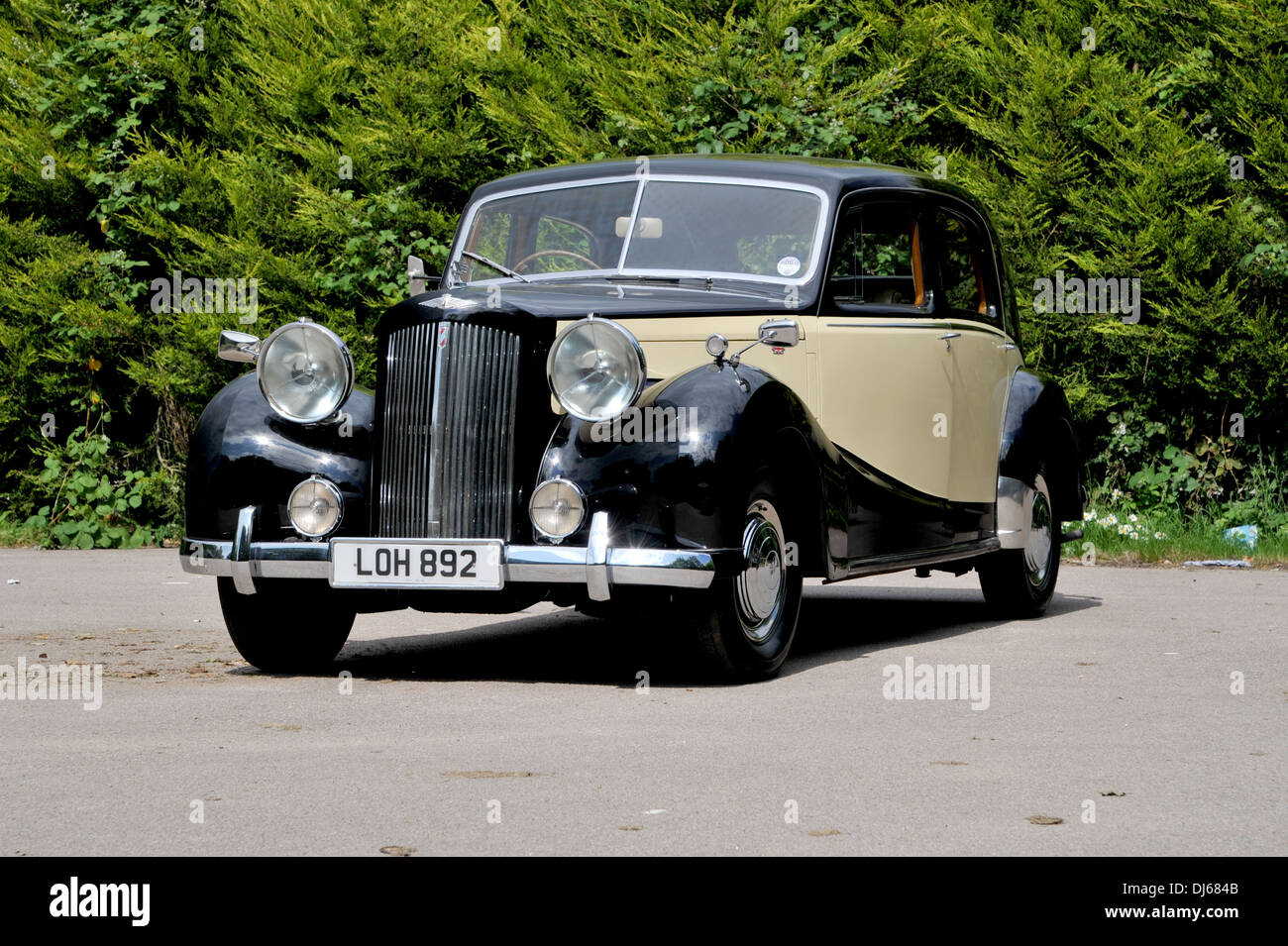 1953 Austin Sheerline klassische britische Luxus-Auto Stockfoto