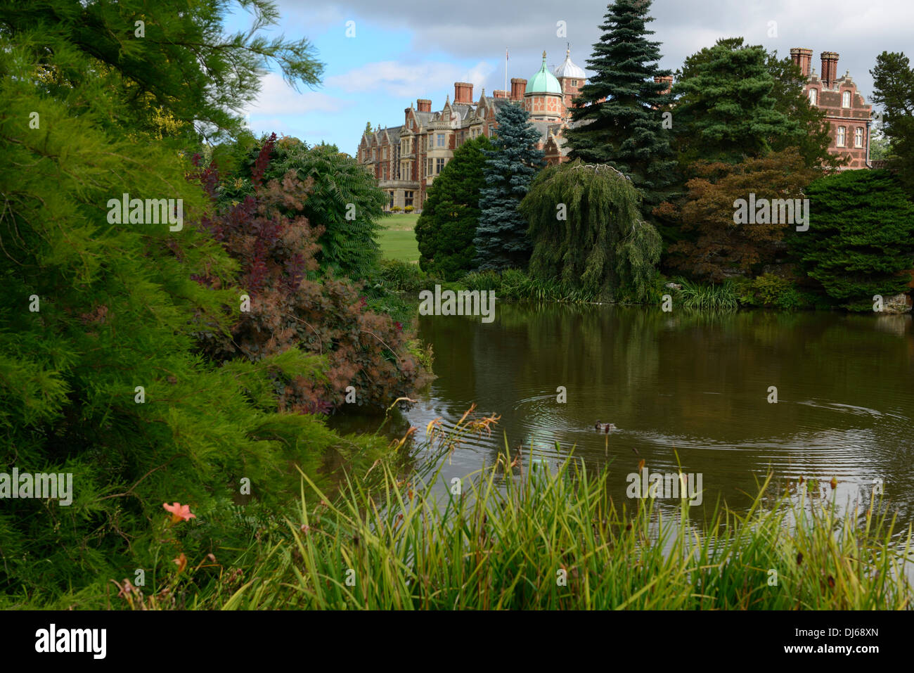Garten und See, Sandringham House, Anwesen Sandringham, Norfolk, England, UUnited Königreich, UK, Europa Stockfoto