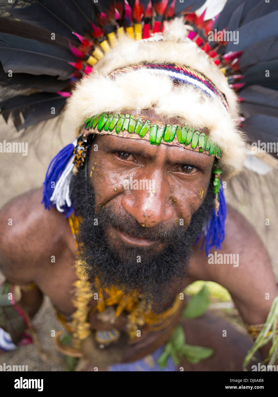 Tribal Mann mit Kopfschmuck und Bart in Goroka Show Singsing Cultural Festival Papua New Guinea Stockfoto