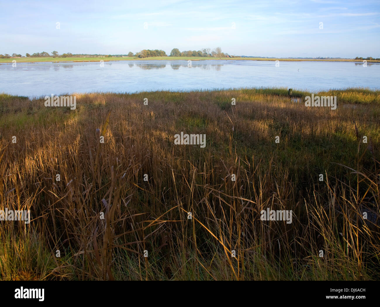 Walberswick National Nature reserve Feuchtgebiet Umwelt Sümpfe Blythburgh, Suffolk, England Stockfoto