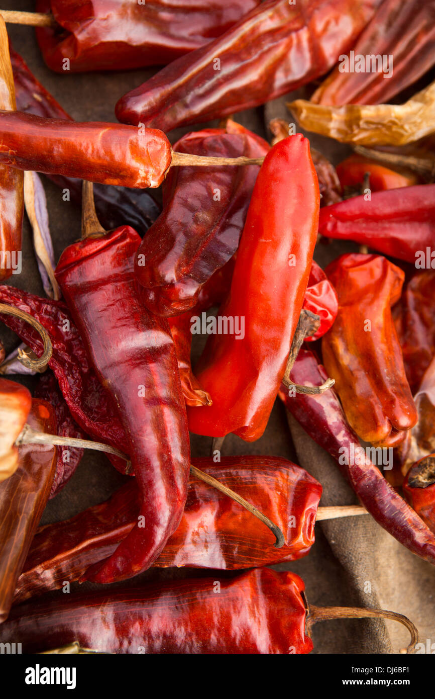 Bhutan, Punakha, Lobesa Dorf Basar, Essen, heiße trockene rote Chilischoten Stockfoto