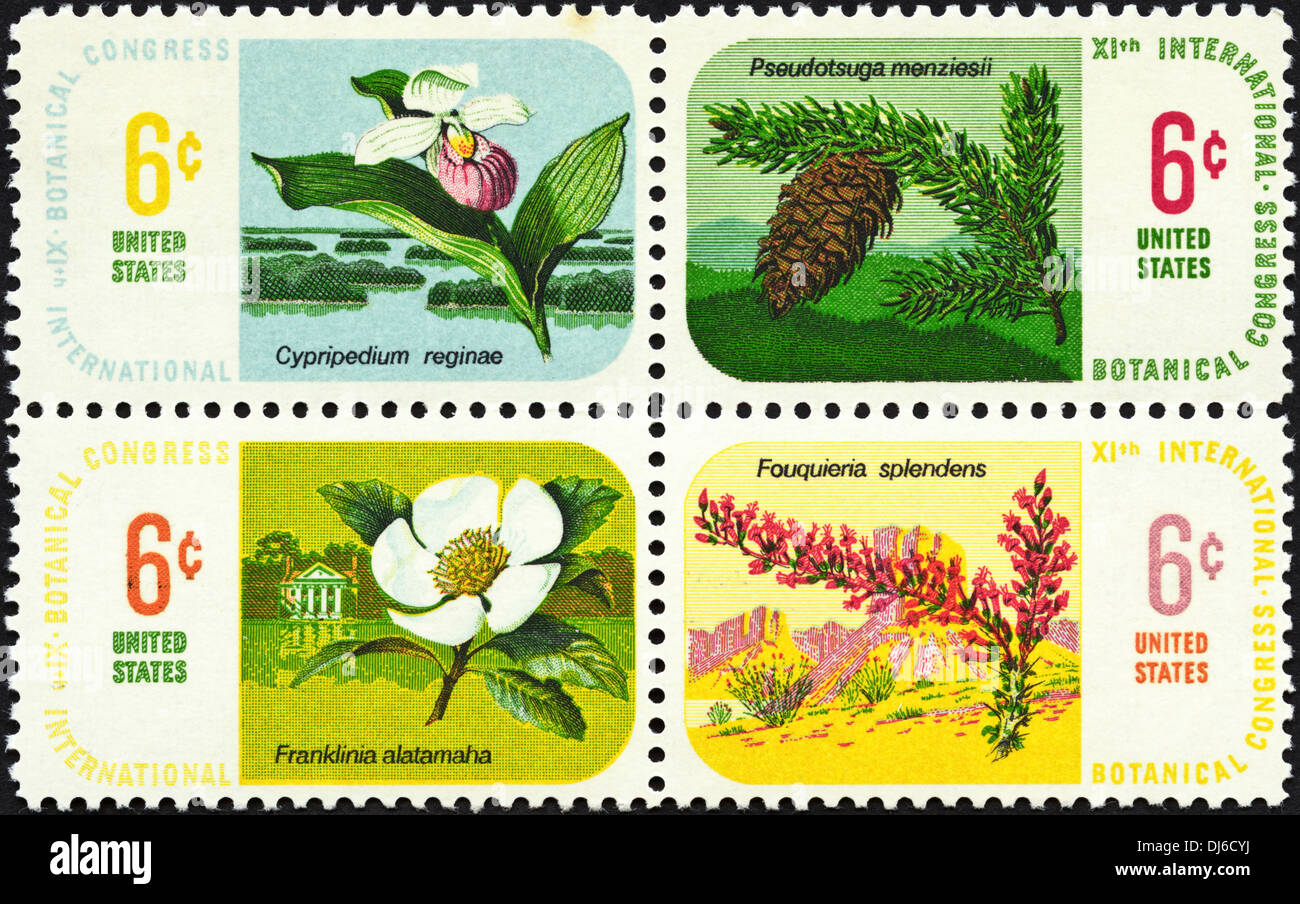 Briefmarke USA 6c Block 4 mit XIst internationalen botanischen Kongress datiert 1969 Stockfoto