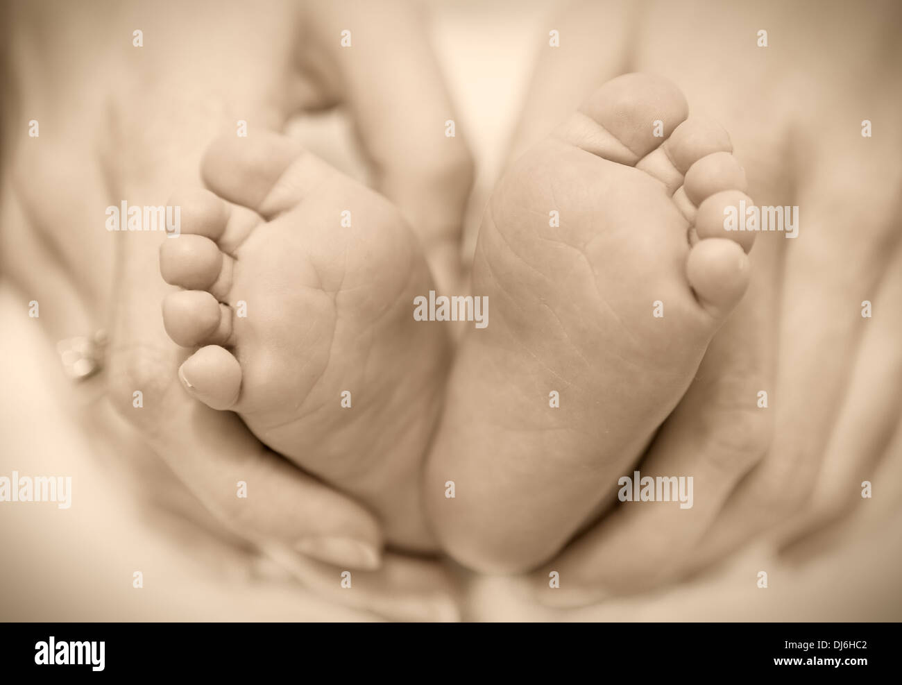 neugeborenes Baby Füße auf weibliche Hände Stockfoto
