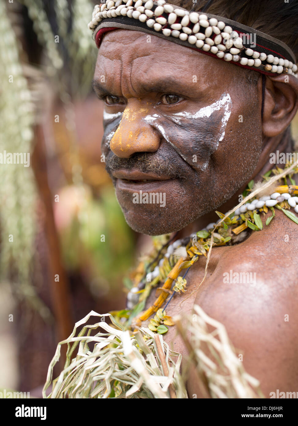 Mann mit Bemalung der Mt Krater Singsing Group, Lufa Distrcit - Goroka Show, Papua-Neu-Guinea Stockfoto