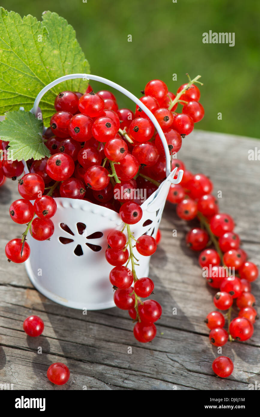 Rote Johannisbeeren in einen kleinen Korb Stockfoto