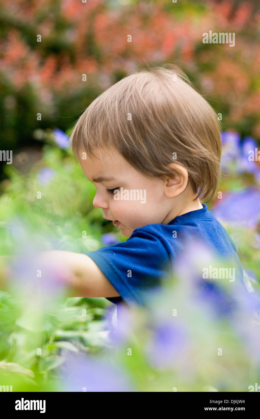 Nahaufnahme eines zwei Jahre alten Jungen spielen im Garten Stockfoto