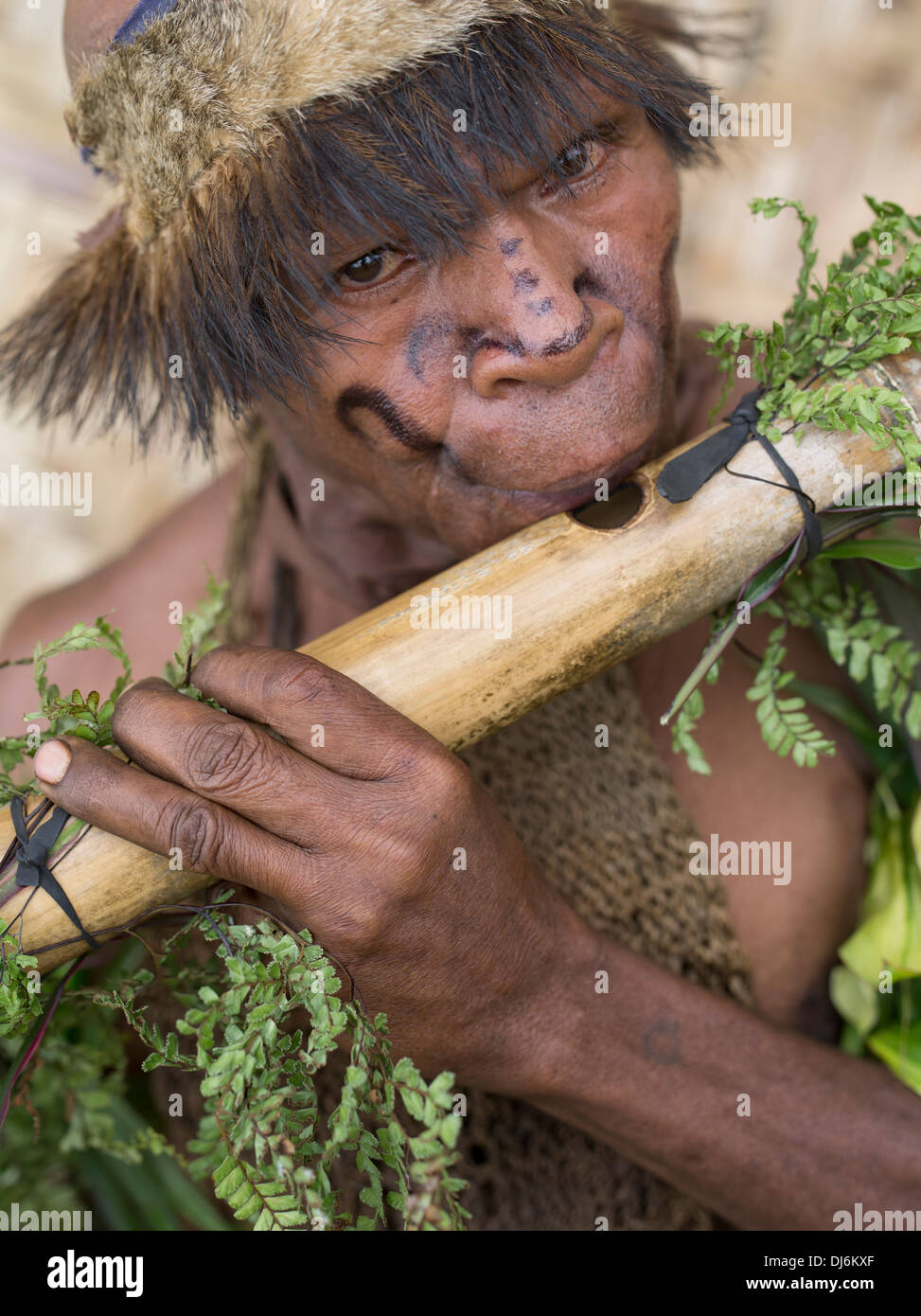 Tribal Mann für Goroka Region mit Holz Querflöte, Goroka Show, Papua-Neu-Guinea Stockfoto