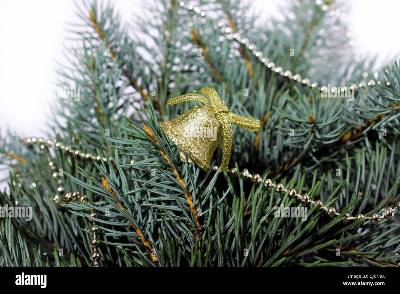 Kiefer, grün, Tannenzweigen, Glocke, Weihnachten, Neujahr, еловая ветка, ель, зеленая, колокольчик, Рождество, Новый год Stockfoto