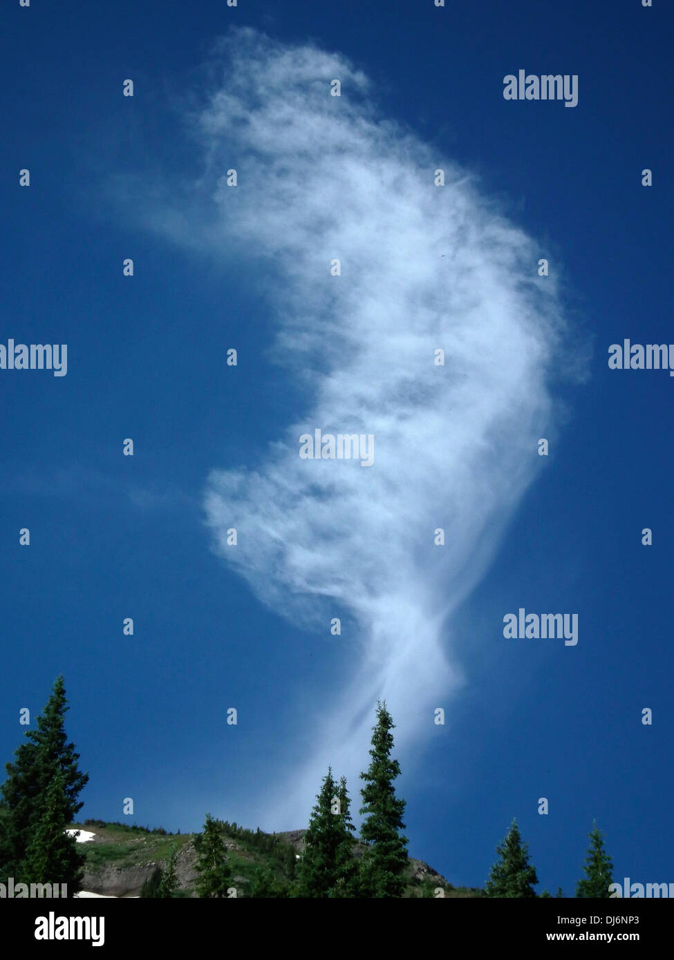 Cirrus Intortus cloud Middle Fork Conejos River South San Juan Wildnisgebiet Colorado USA Stockfoto